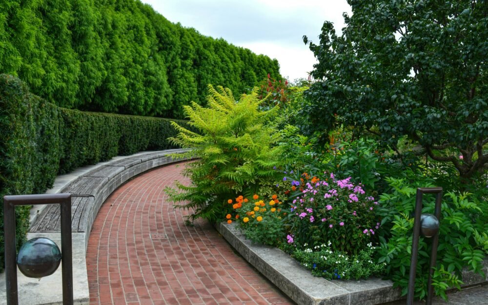 The Complete Guide to Landscaping Your Yard