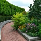 The Complete Guide to Landscaping Your Yard