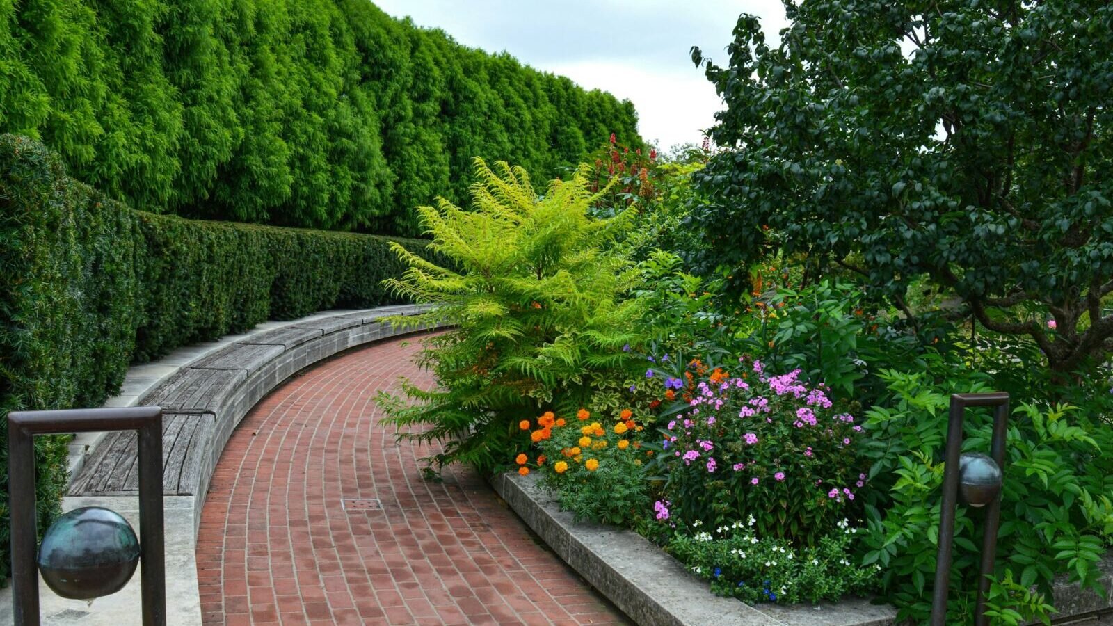 The Complete Guide to Landscaping Your Yard