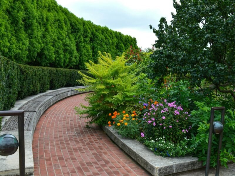 The Complete Guide to Landscaping Your Yard