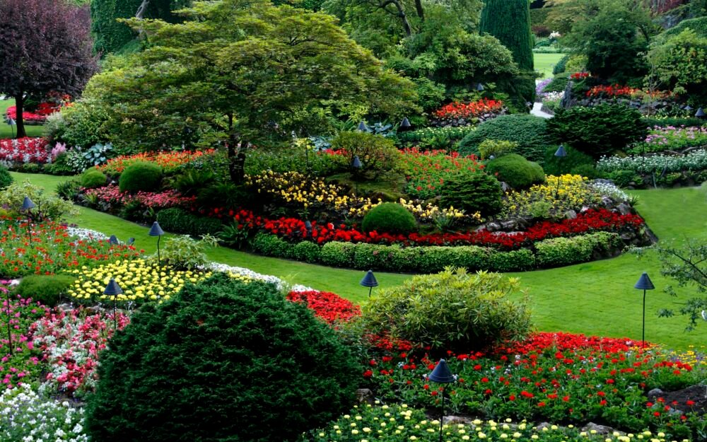 The Complete Guide to Garden Design