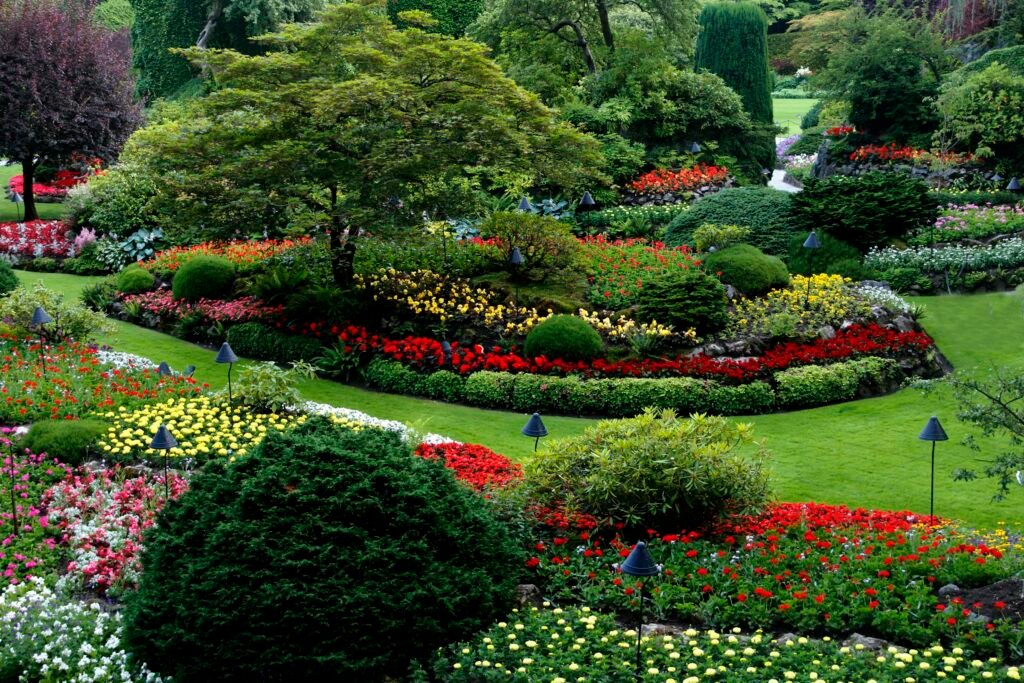 Designed garden flower beds