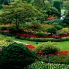 The Complete Guide to Garden Design