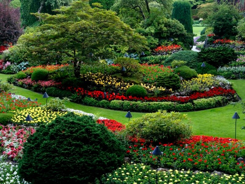 The Complete Guide to Garden Design