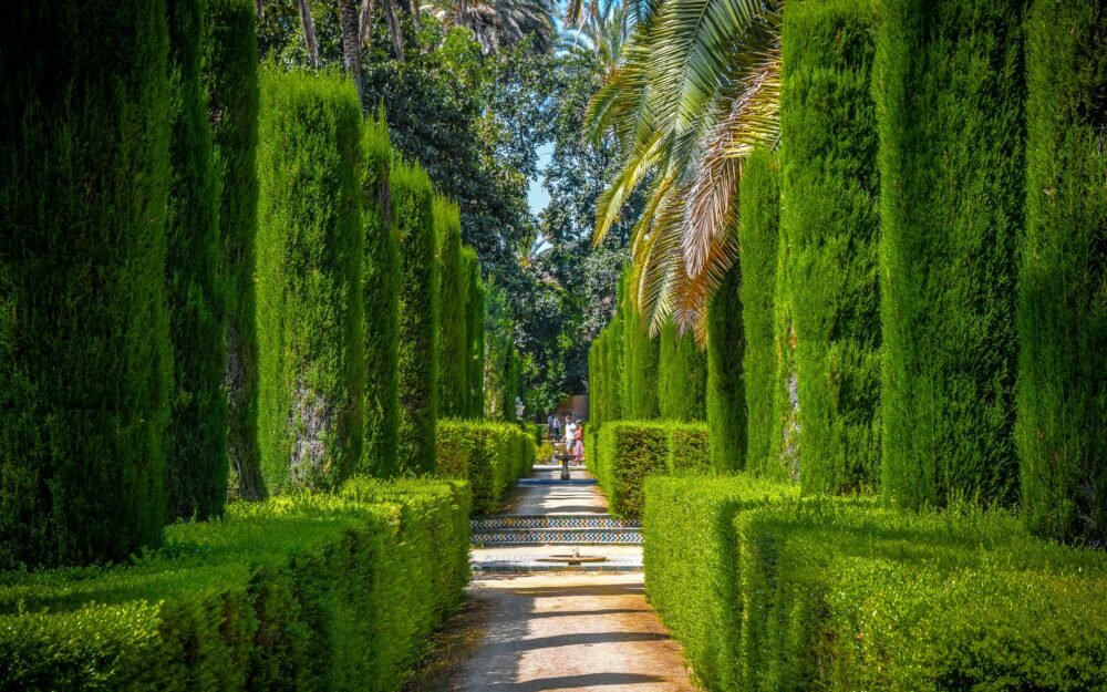 Garden Design Basics: How to Plan a Layout That Works Year-Round