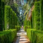 Garden Design Basics: How to Plan a Layout That Works Year-Round