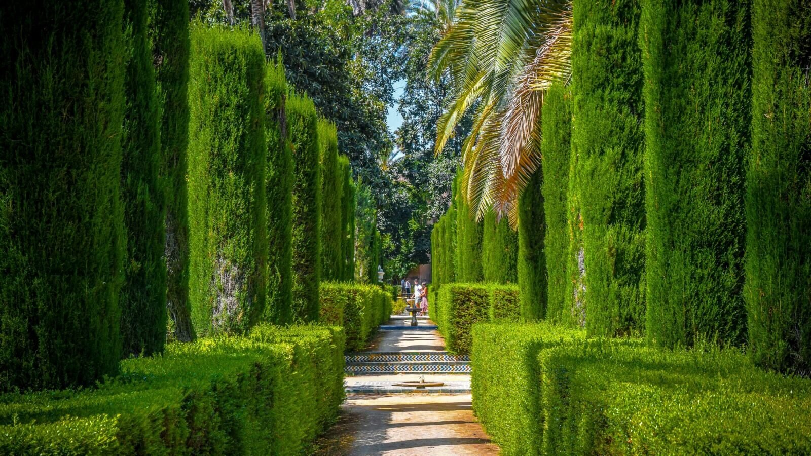 Garden Design Basics: How to Plan a Layout That Works Year-Round