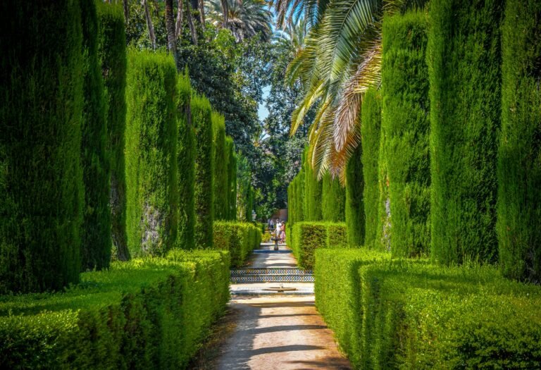 Garden pathway with layered planting