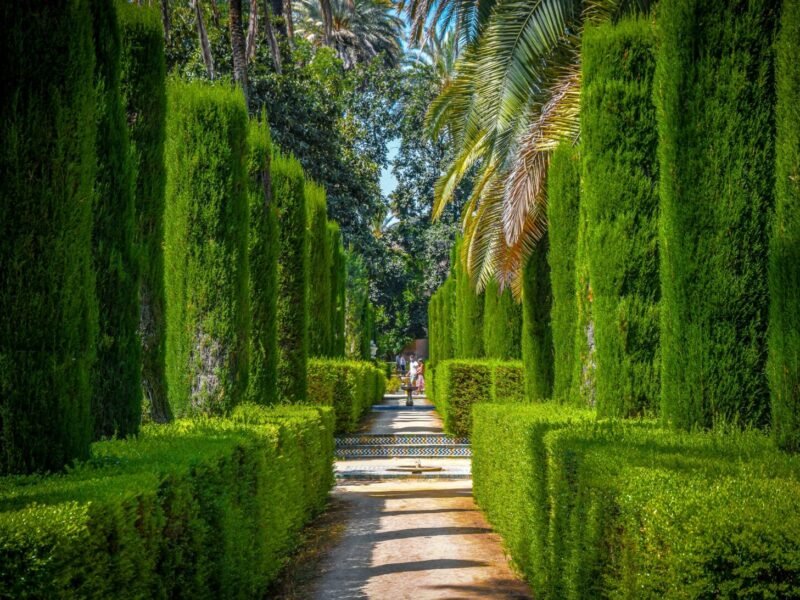 Garden Design Basics: How to Plan a Layout That Works Year-Round
