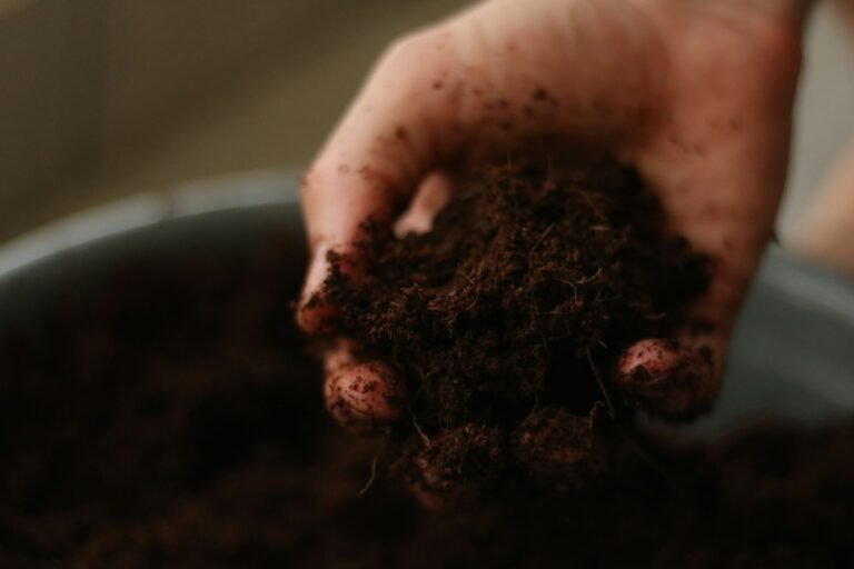 A person holding a handful of dark garden soil, the kind of sample used for a pH test