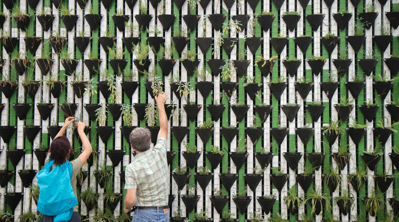 Hands planting a seedling into a hanging pocket planter