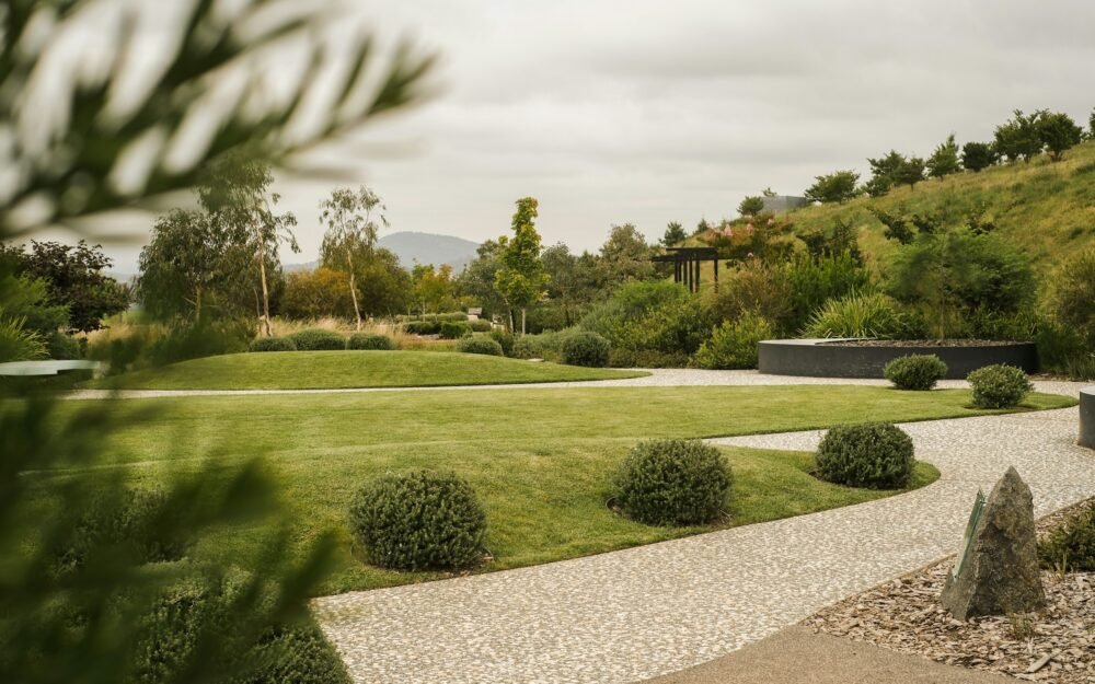 Spring Lawn Care Checklist: 7 Steps to a Healthier Lawn