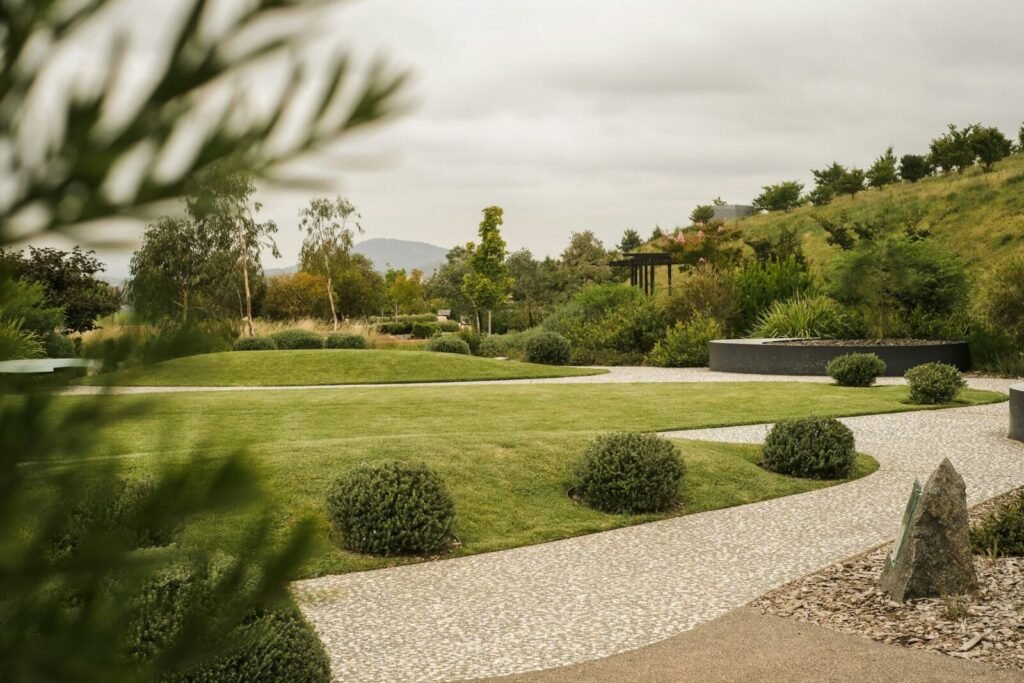 A large, healthy green lawn bordered by bushes and trees
