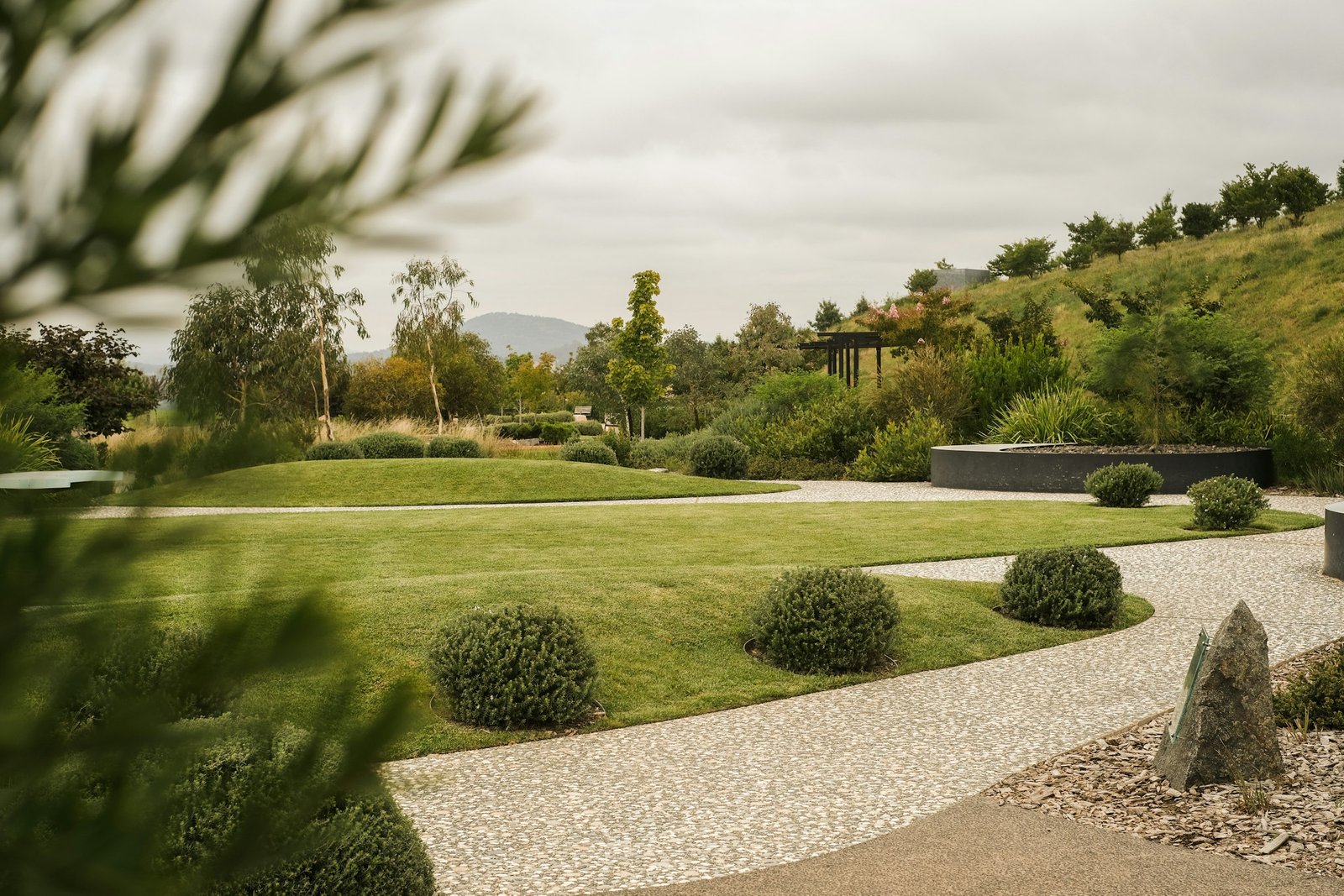 Summer Lawn Care Tips