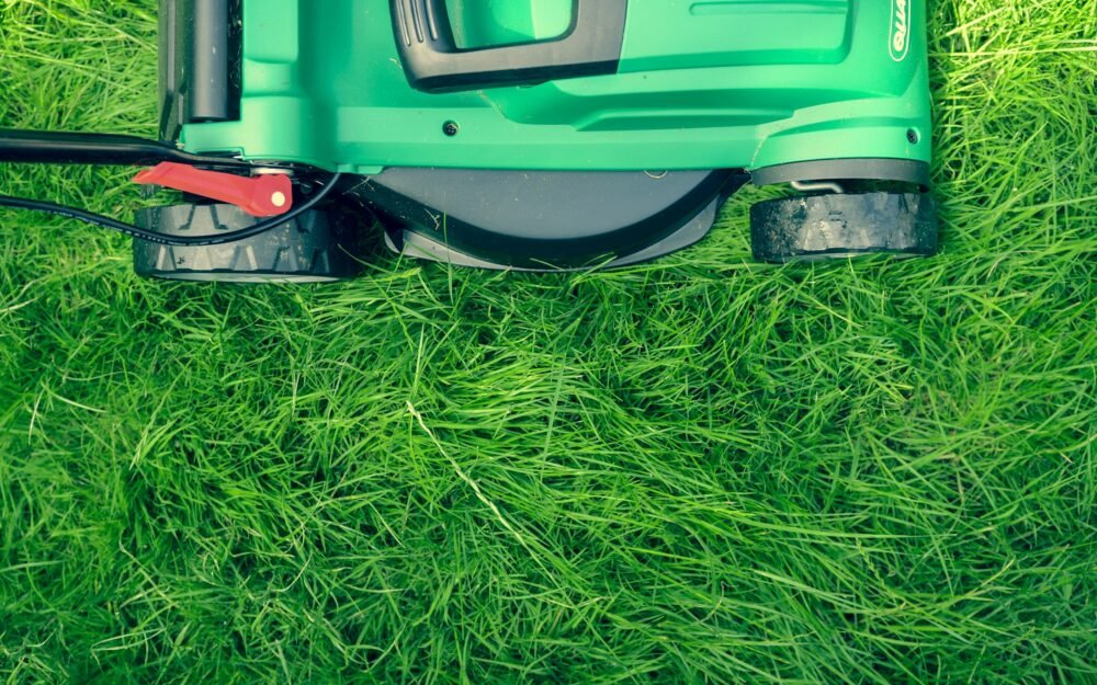 The Complete Guide to Lawn Care Through the Seasons