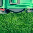The Complete Guide to Lawn Care Through the Seasons