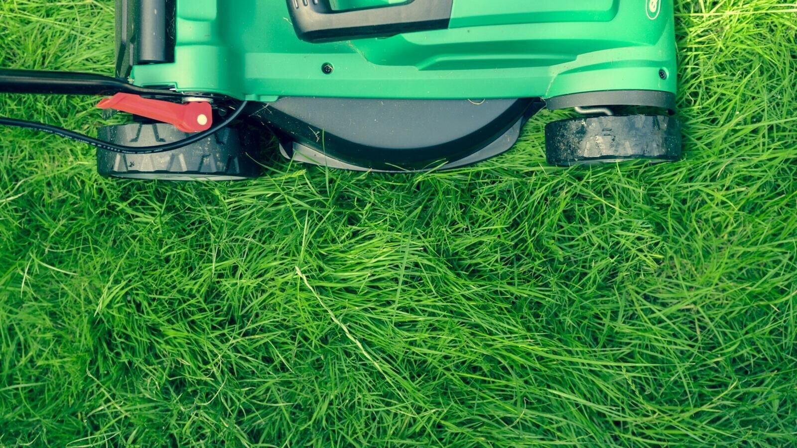 The Complete Guide to Lawn Care Through the Seasons