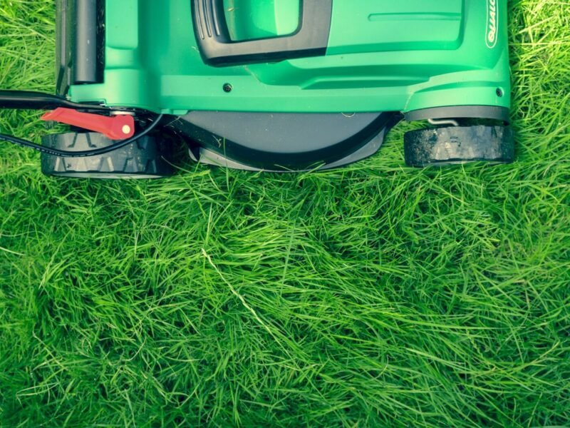 The Complete Guide to Lawn Care Through the Seasons