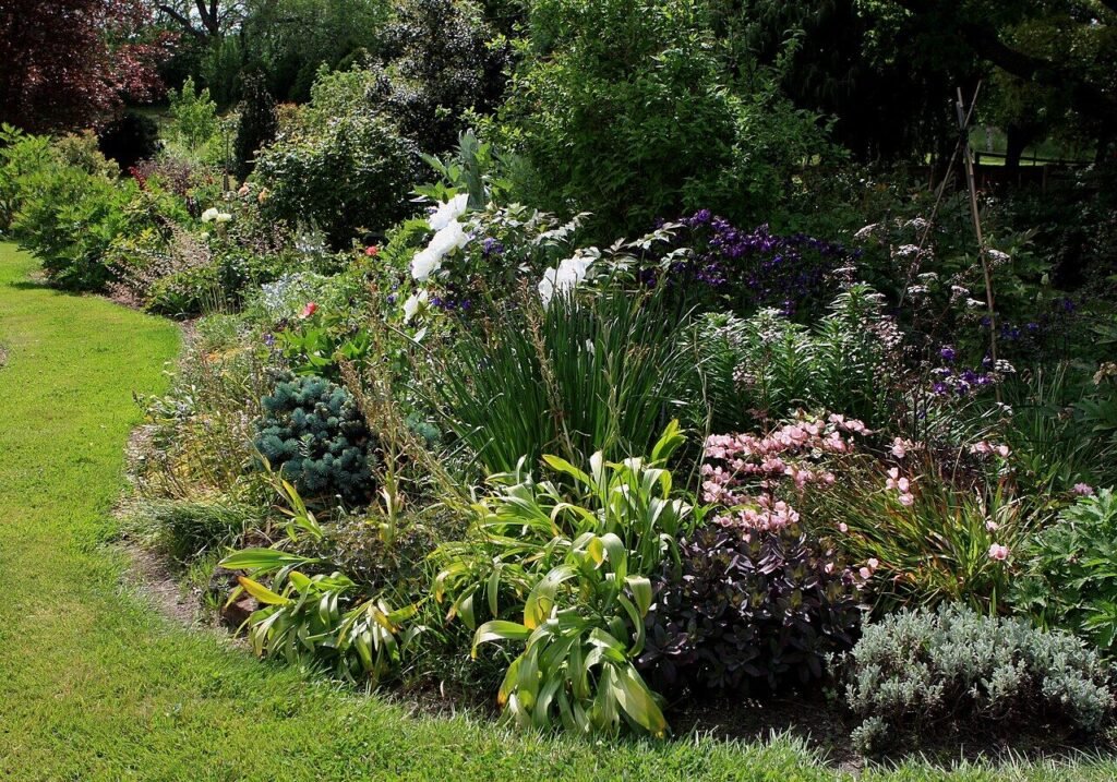 Neatly edged garden border