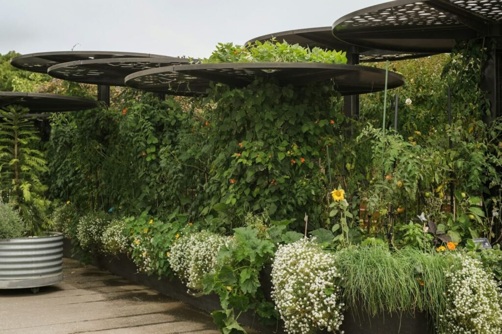 Potted plants arranged on a small patio