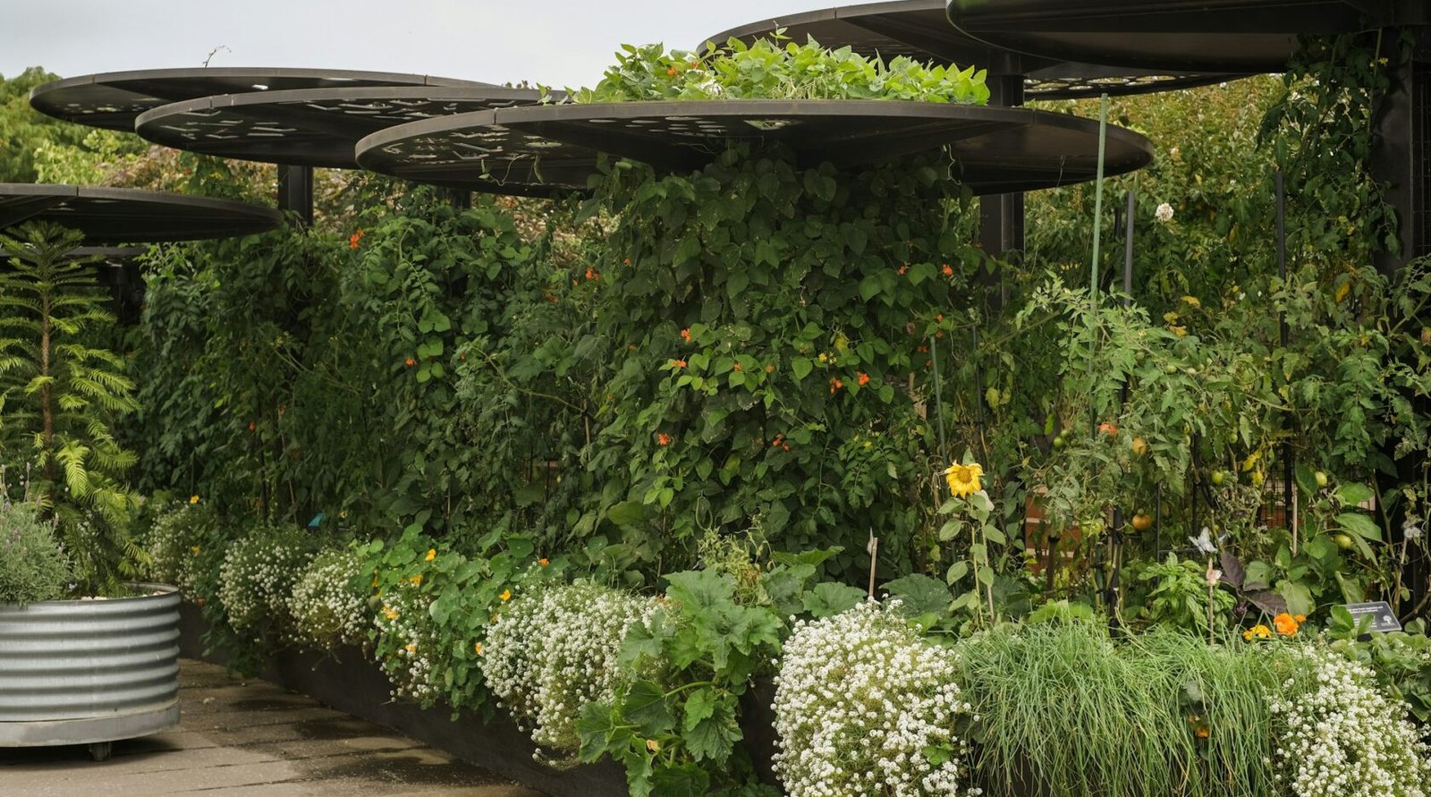 Potted plants arranged at different heights on a small patio garden