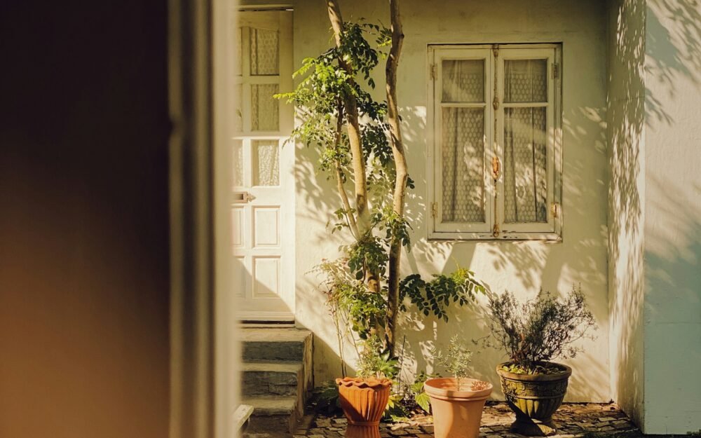 Small Backyard Garden Ideas That Actually Work