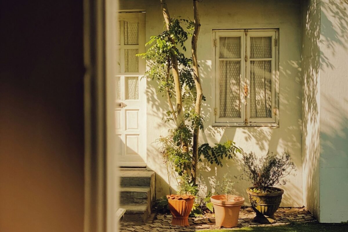 Small Backyard, Big Impact