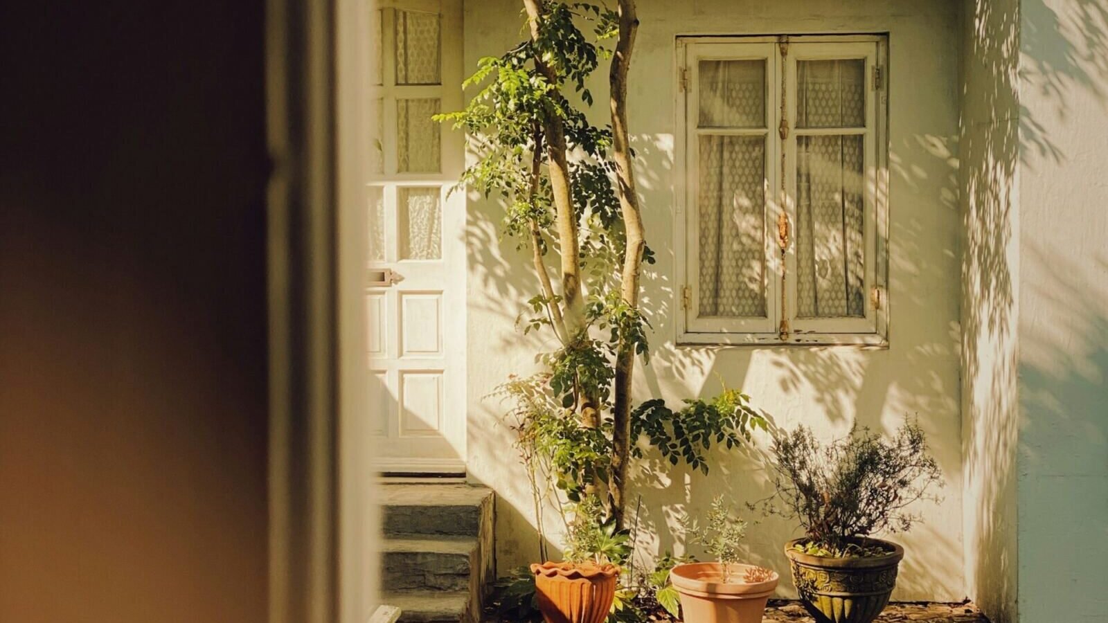 Small Backyard Garden Ideas That Actually Work