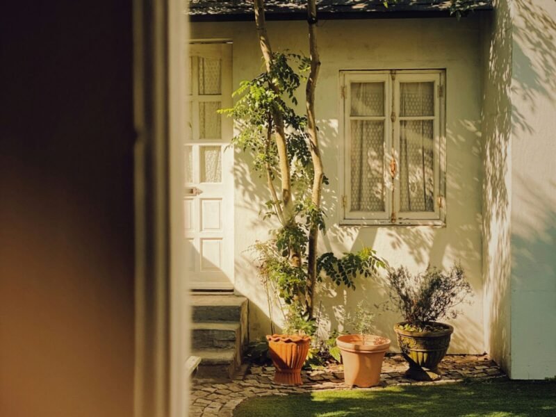 Small Backyard Garden Ideas That Actually Work