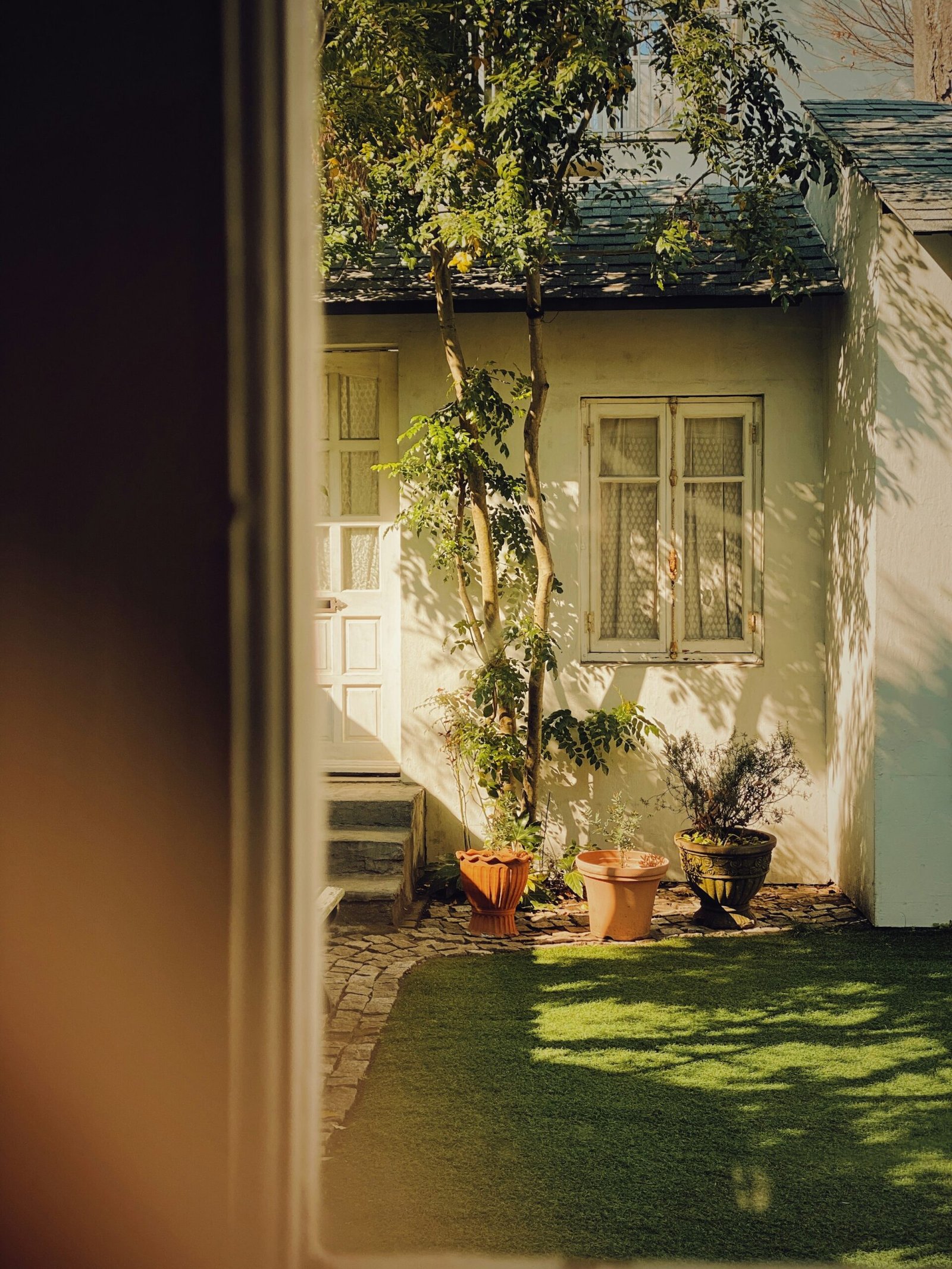 Small Backyard, Big Impact