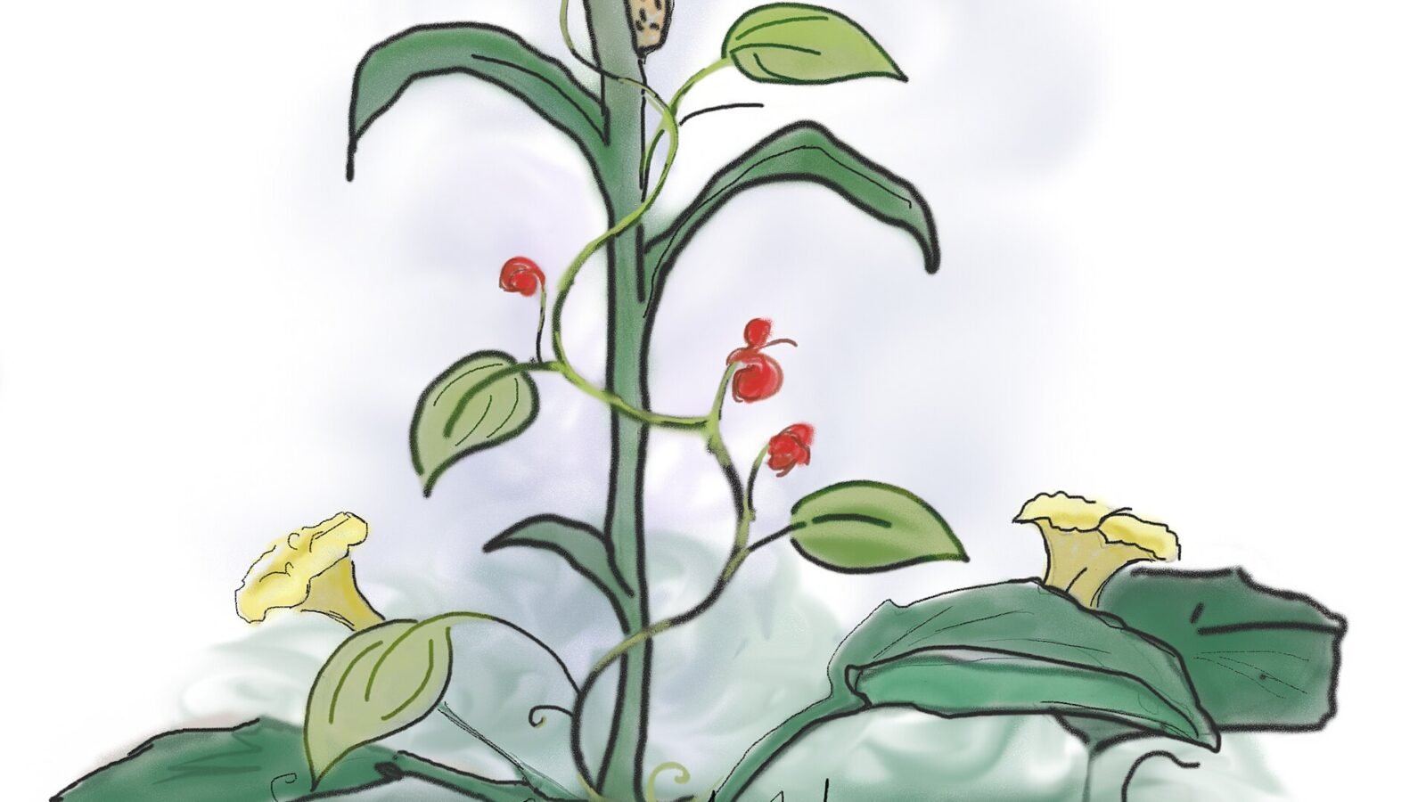 Companion Planting for Vegetables: What Actually Works