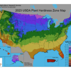 Understanding USDA Hardiness Zones