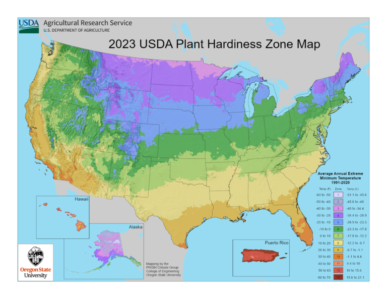 Official 2023 USDA Plant Hardiness Zone Map showing color-coded zones across the United States