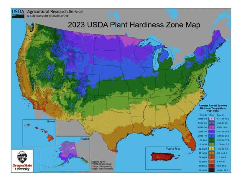 Understanding USDA Hardiness Zones