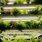 Vertical Garden Ideas for Small Spaces